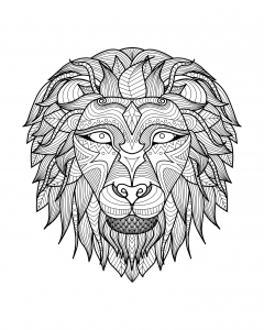 coloring-adult-africa-lion-head-2