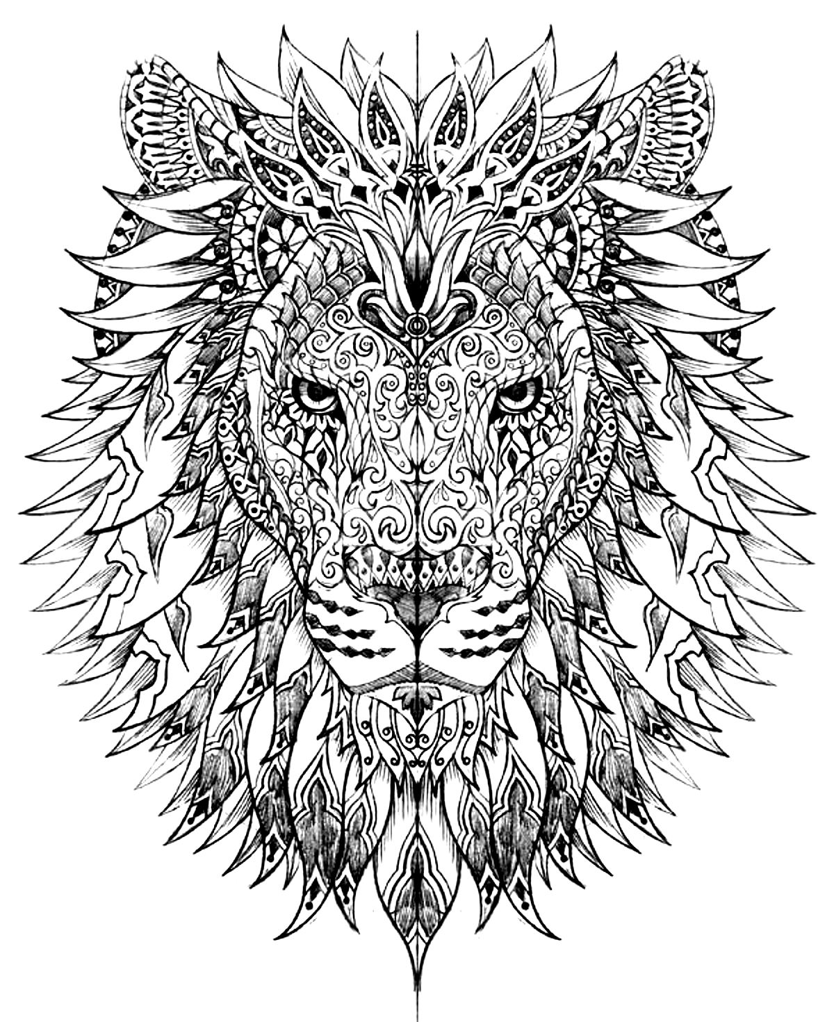 Lion head drawn with very smart and harmonious patterns