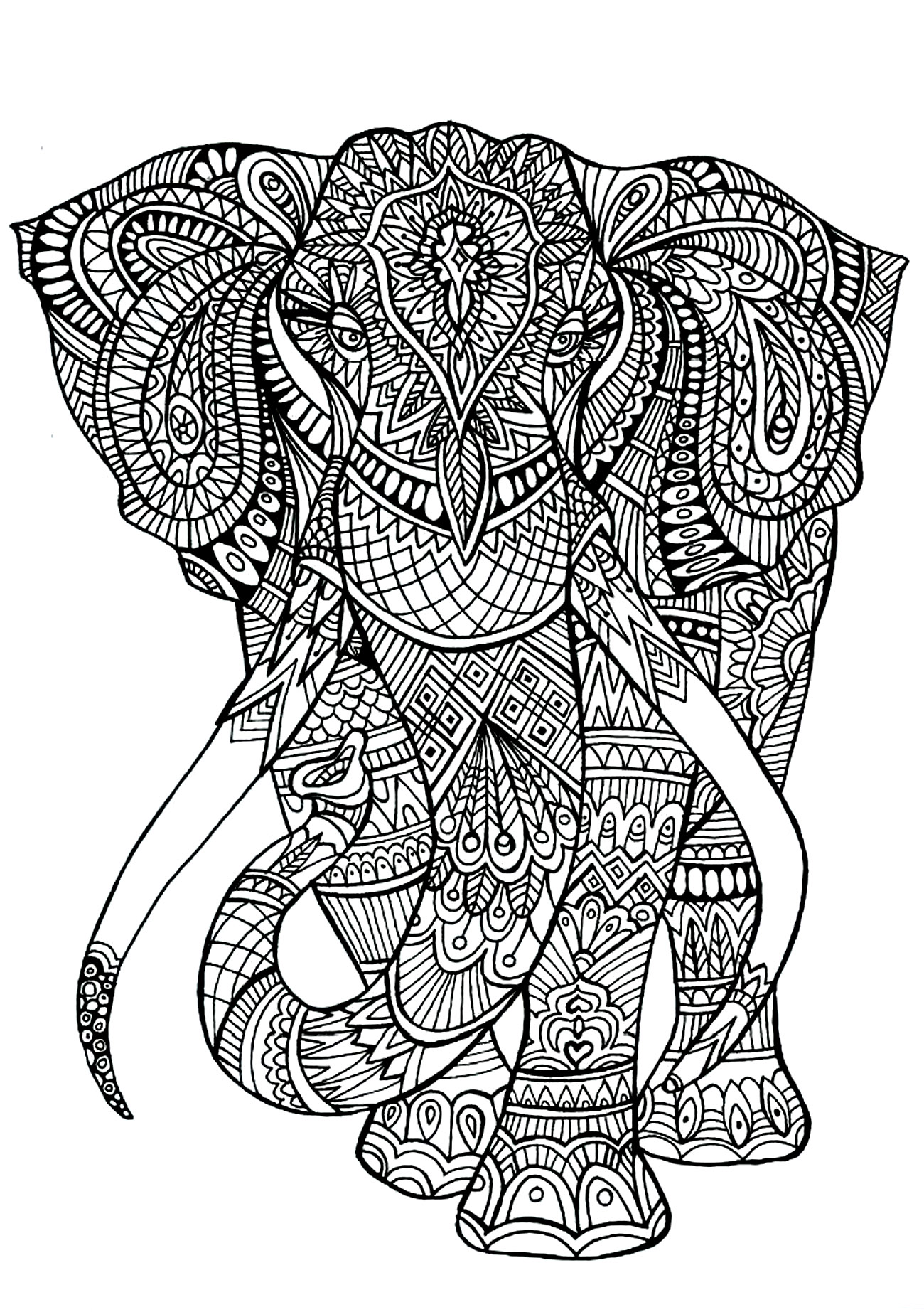 Elephant patterns Animals Coloring pages for adults