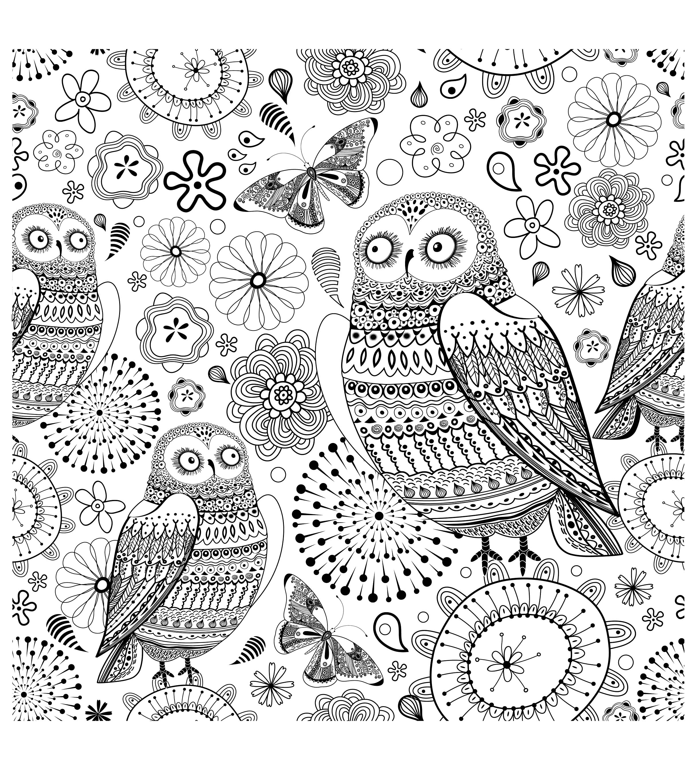 Difficult owls | Animals - Coloring pages for adults ...