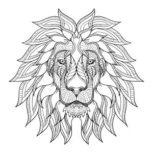 Lion's head and pretty mane