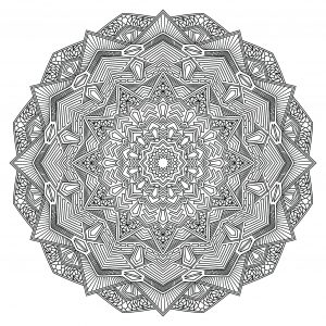 Outline Mandala Flower
