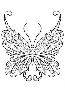 Incroyable papillon aux motifs simples
