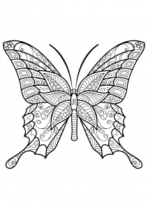 Insectos 25443