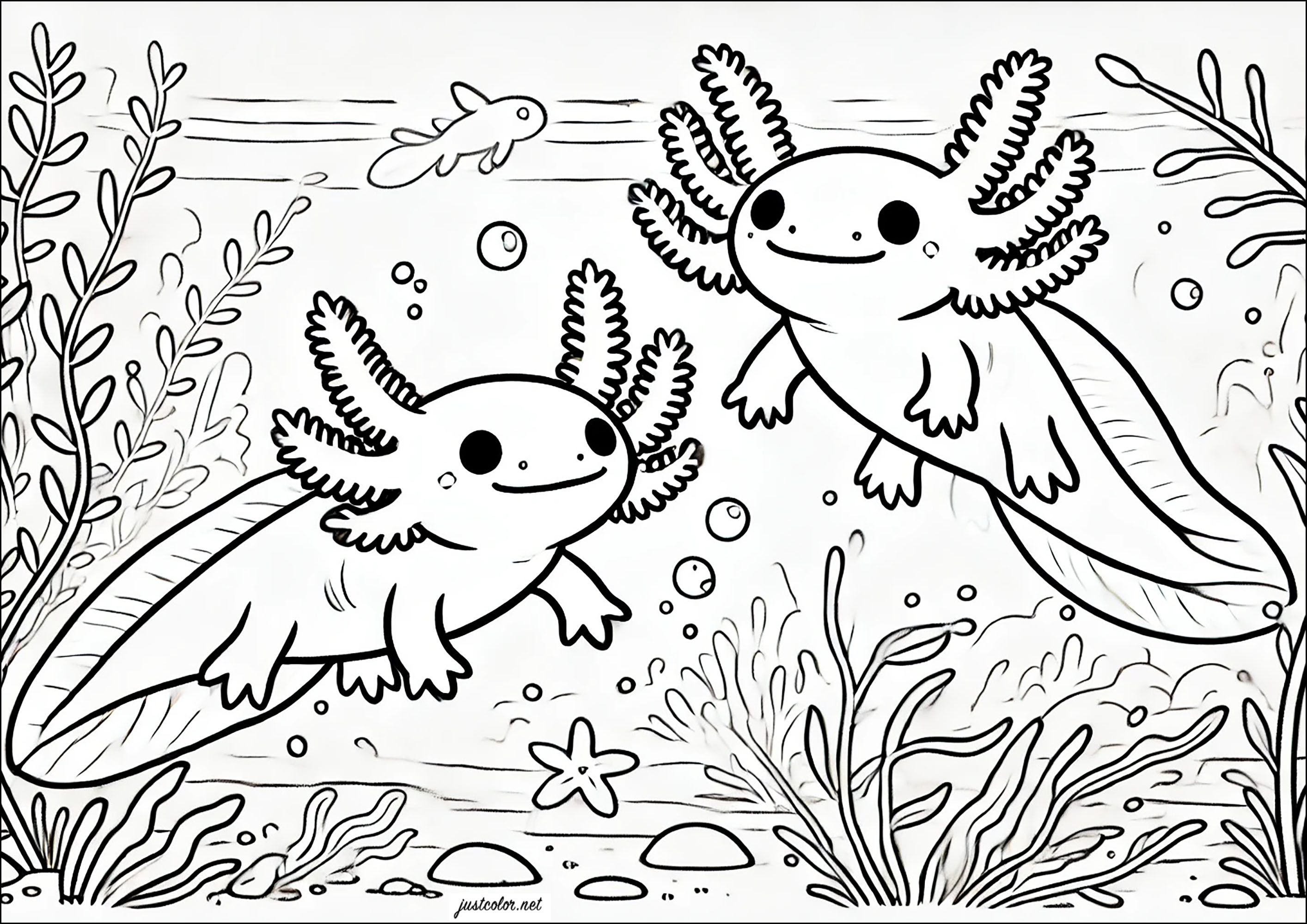Pagina Axolotl da Colorare : Due axolotis Pagina Axolotl da Colorare per bambini : Due axolotis