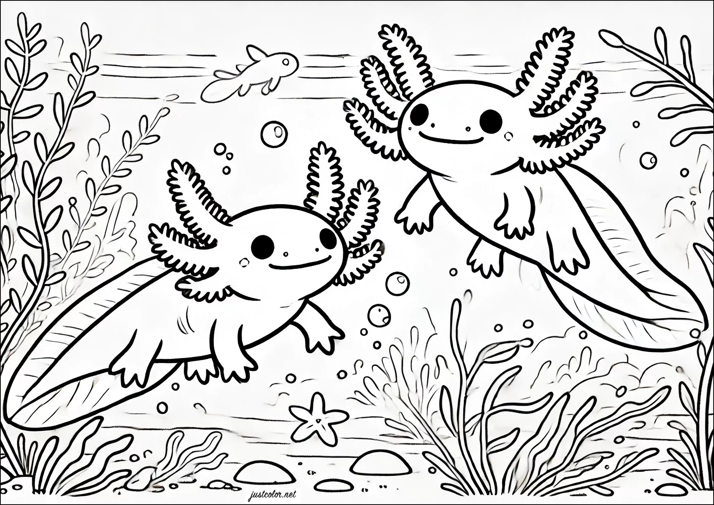 Due axolotis (Pagina Axolotl da Colorare per bambini)