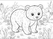 Pagine Bären da Colorare per bambini