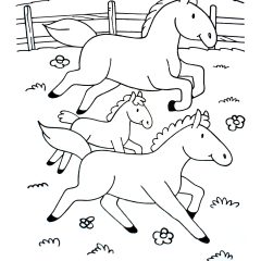 Pagine Cavalli da Colorare per bambini