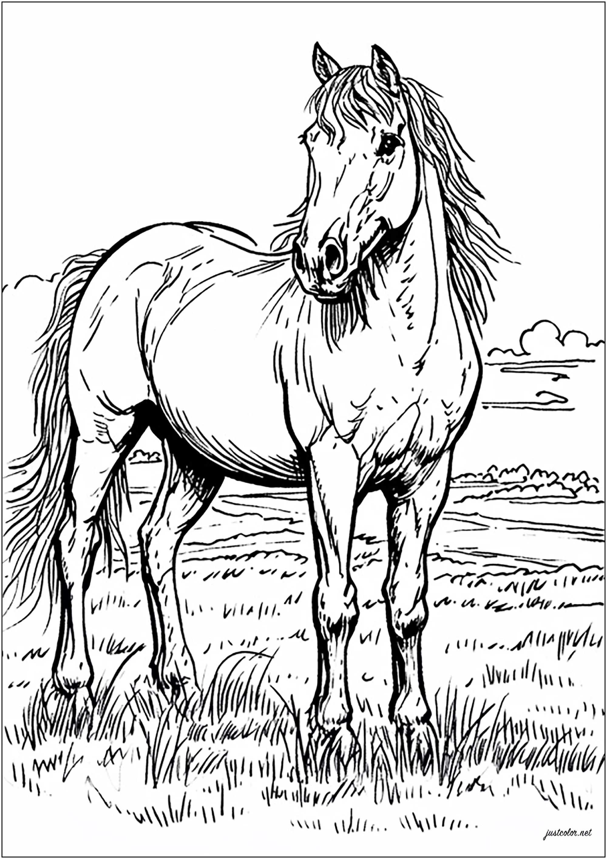 Cavallo semplice e magnifico (Pagina Cavalli da Colorare per bambini)
