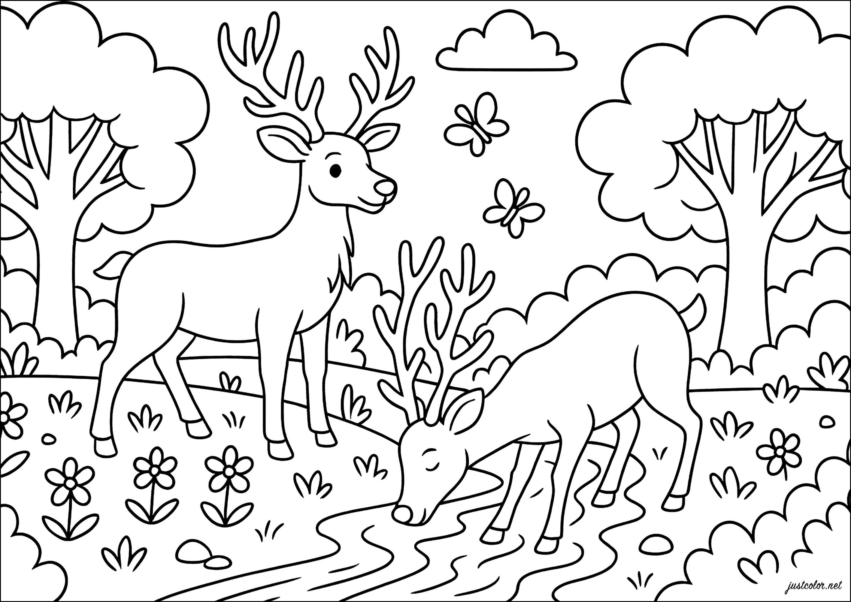 Cervi sulla riva del ruscello incantato (Pagina da Colorare per bambini)