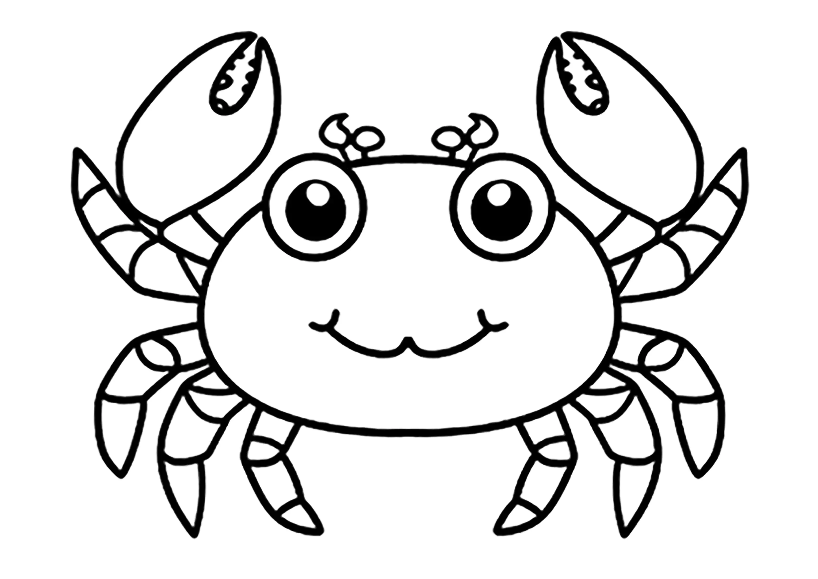 Piccolo granchio, molto facile da colorare (Crabe)
