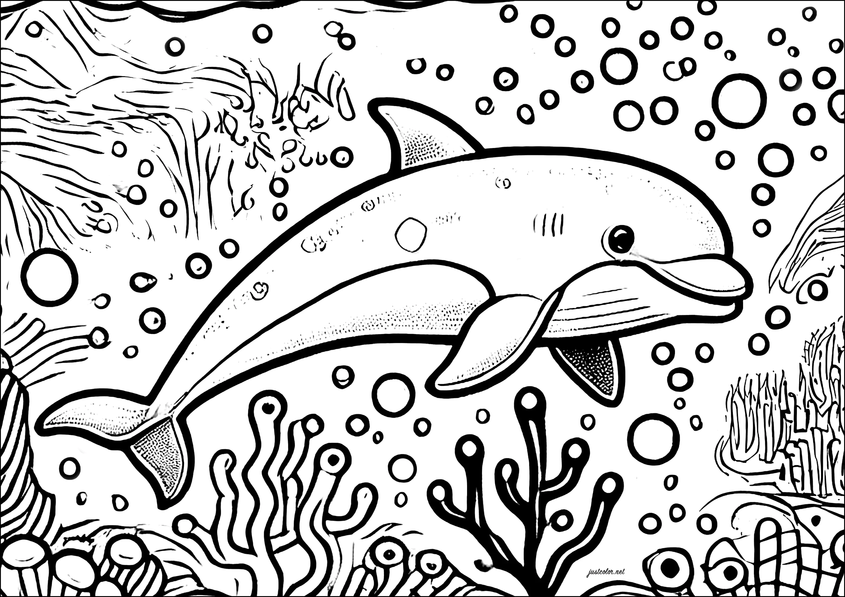 Tursiope che nuota (Pagina Delfini da Colorare per bambini)