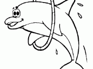 Pagine Delfini da Colorare per bambini