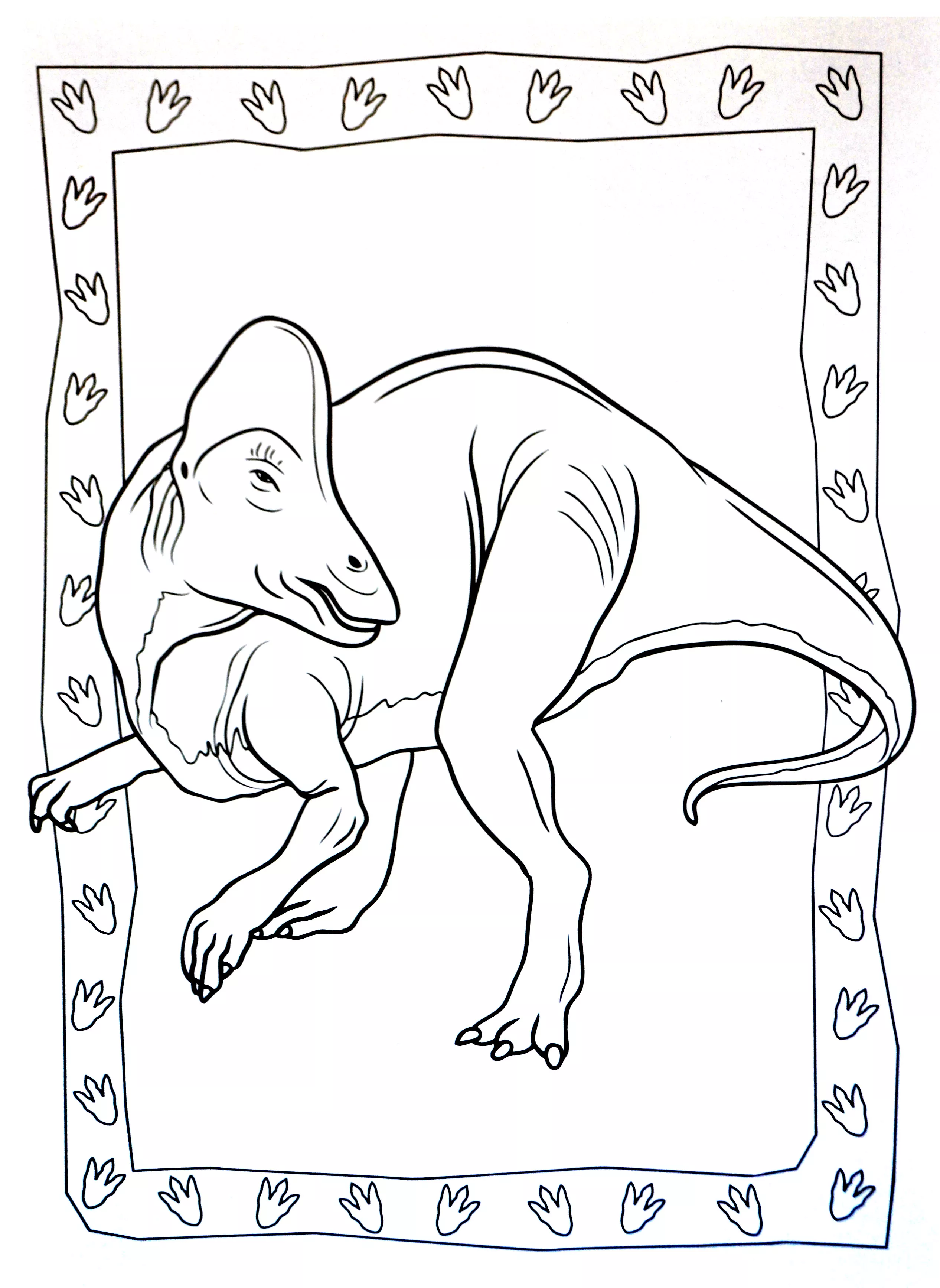 Stampa gratuitamente il disegno di un dinosauro da colorare. (Dinosauri)