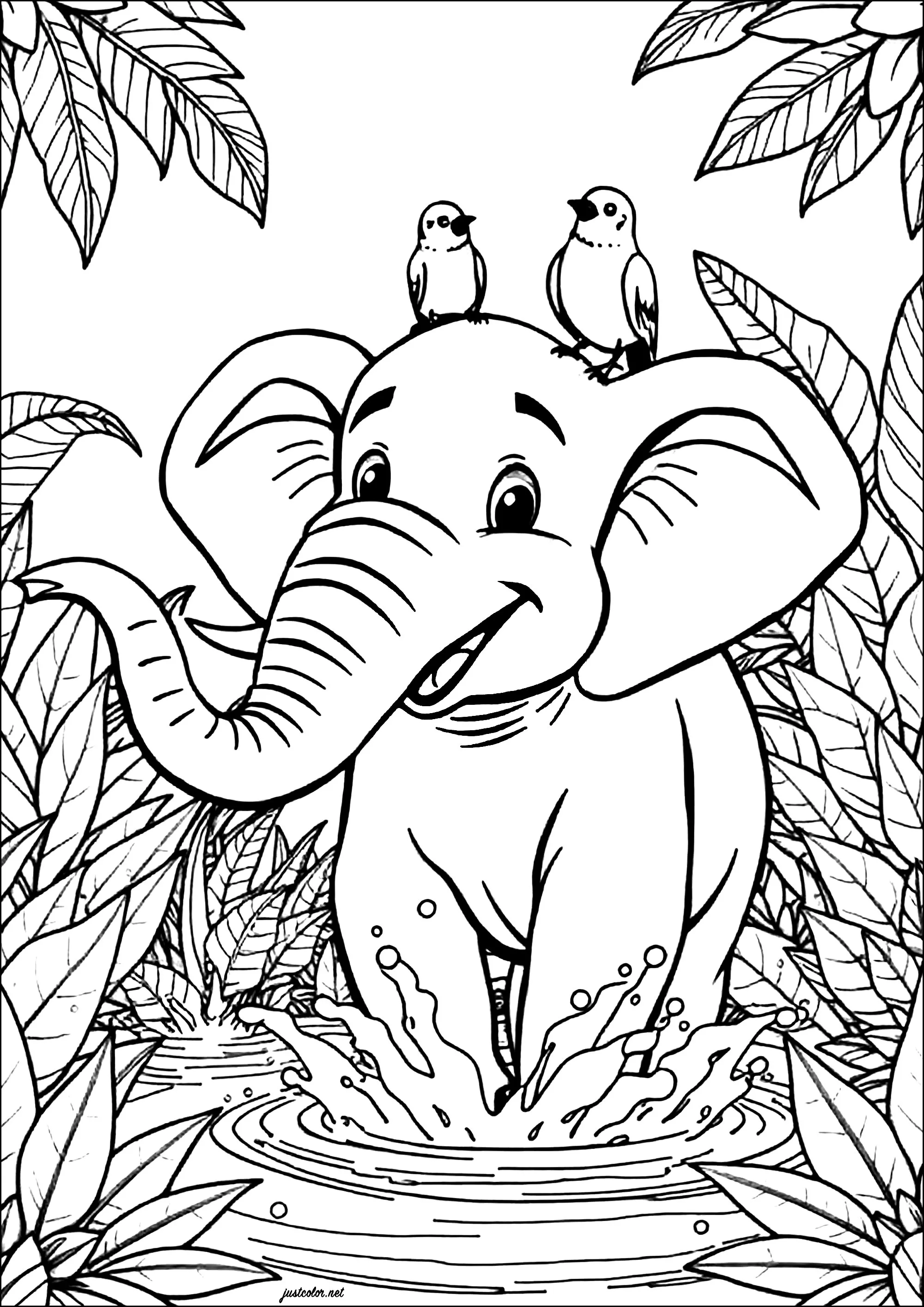 Elefante con due uccelli sulla testa (Pagina Elefanti da Colorare per bambini)