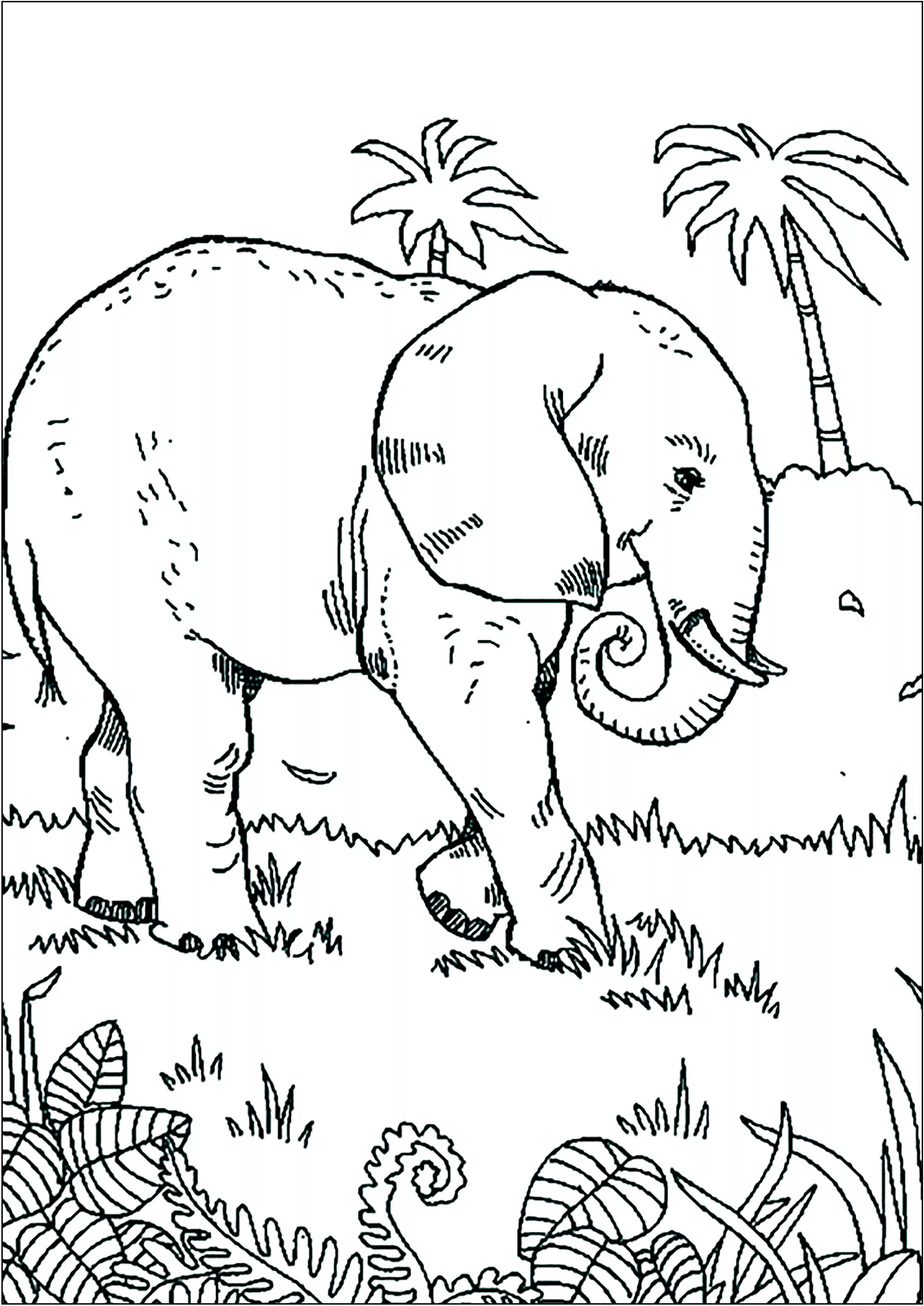 Elefante che cammina nella savana. (Pagina Elefanti da Colorare per bambini)