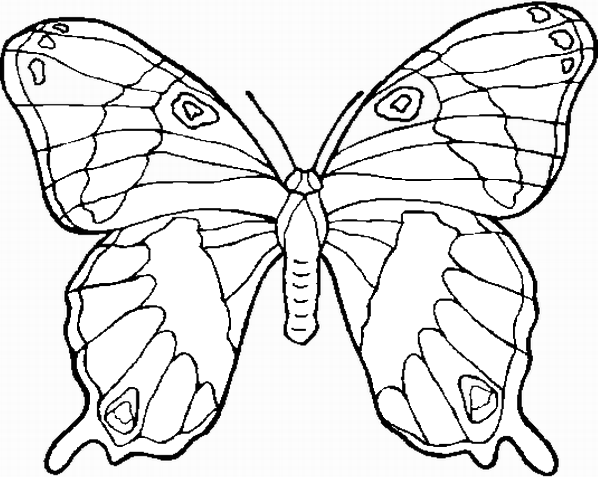 Disegno di farfalle per bambini (Pagina da Colorare per bambini)
