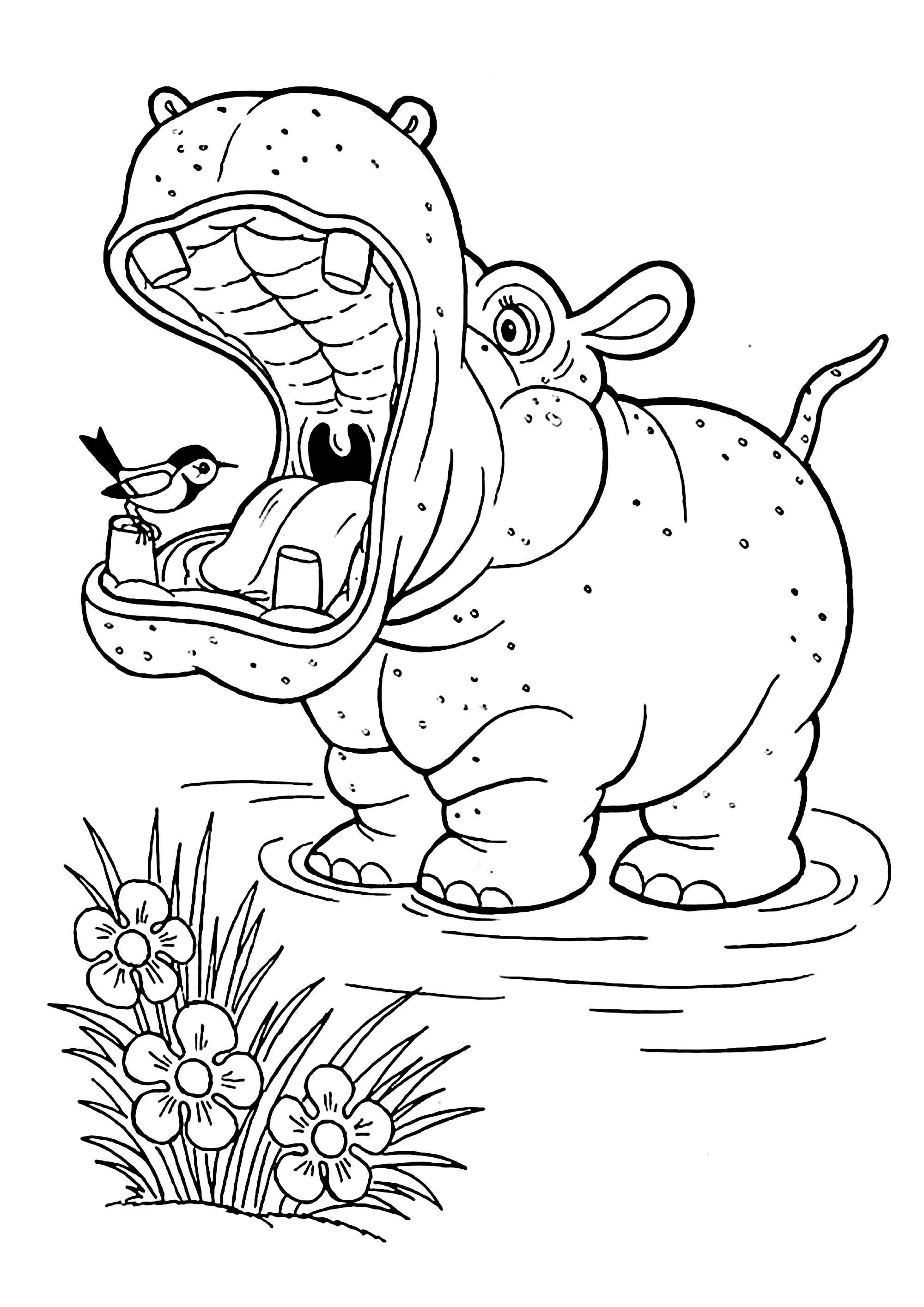 L'ippopotamo e l'uccello (Pagina Hippopotamo da Colorare per bambini)