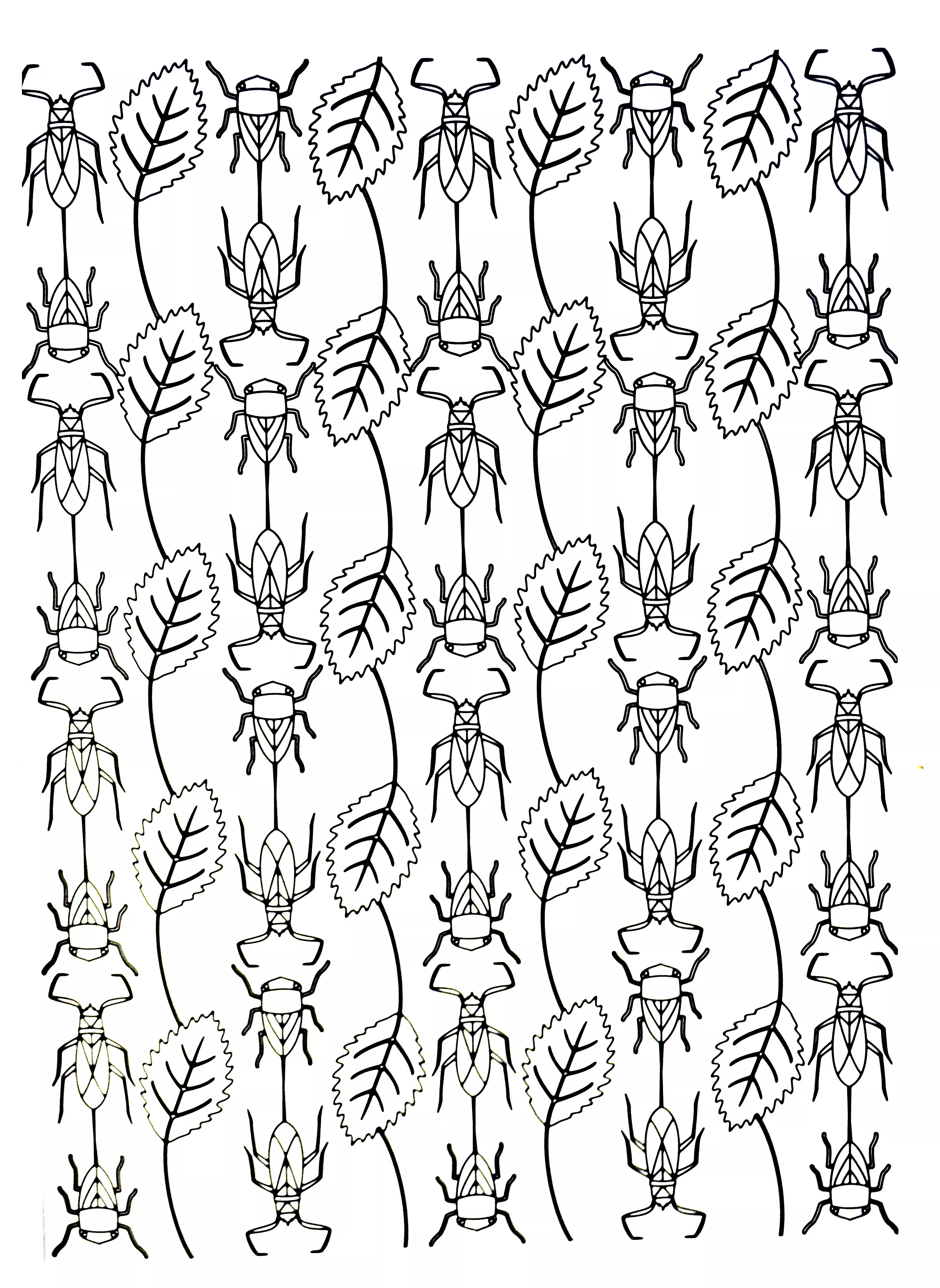 Scarabei (Pagina Insetti da Colorare per bambini)