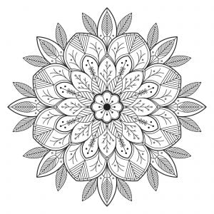 Mandala con foglie e fiori (Pagina da Colorare)