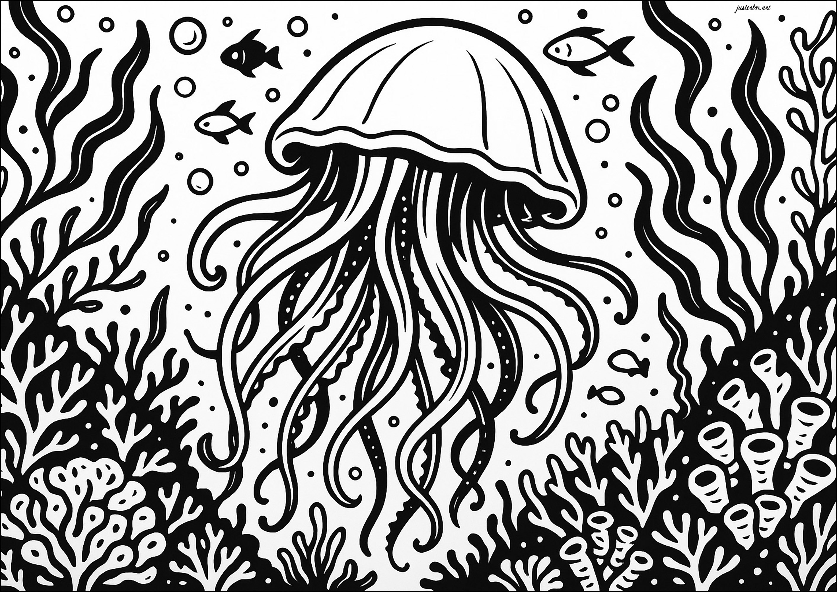 Medusa con tratti molto spessi (Pagina da Colorare per bambini)