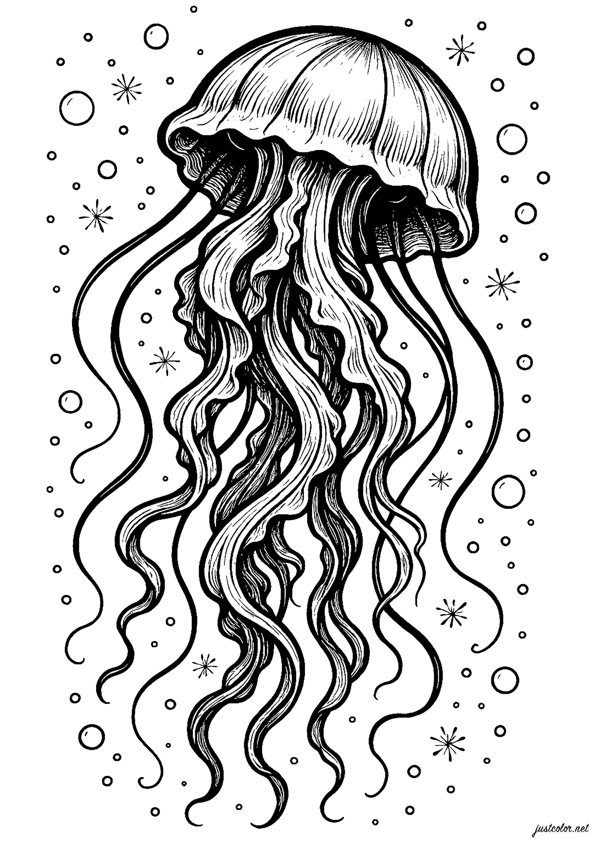 Medusa realistica (Pagina da Colorare per bambini)