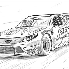 Pagine Nascar da Colorare per bambini