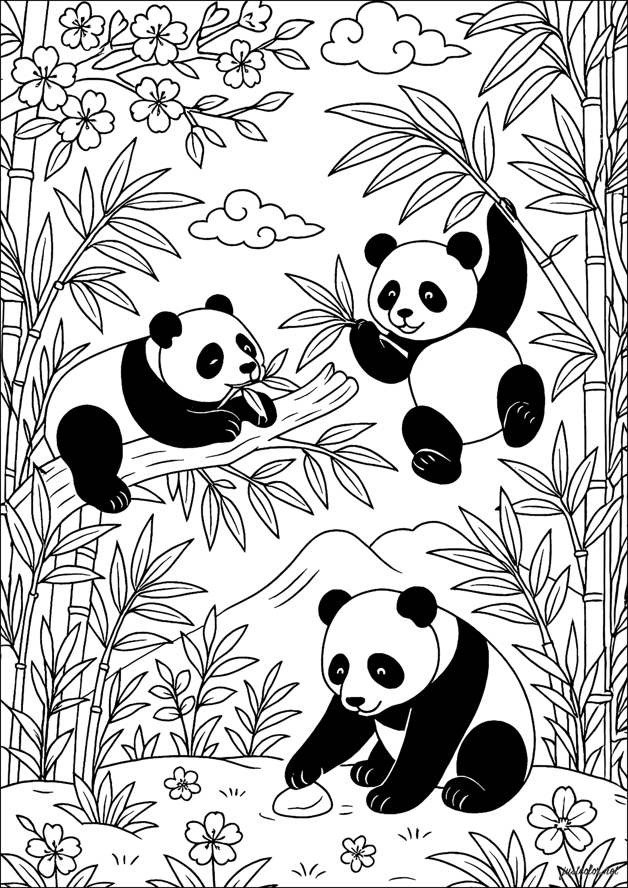 Panda giocatori in una foresta di bambù (Pagina da Colorare per bambini)