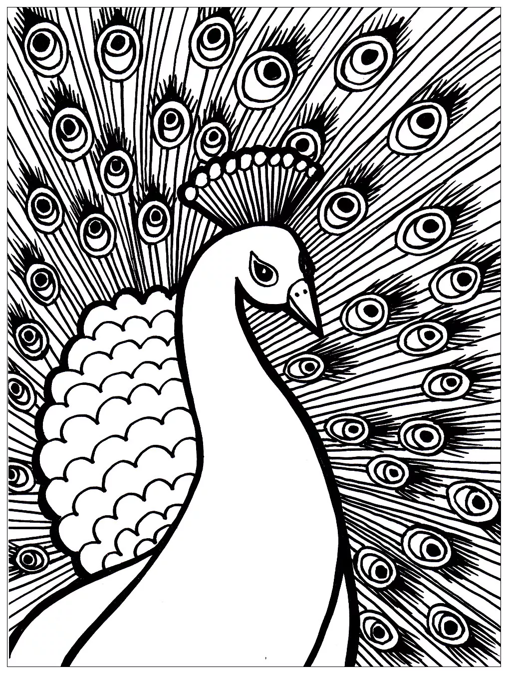 Disegni da colorare di pavone gratuiti (Pavoni)