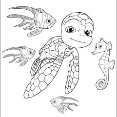 Pagine Sammy da Colorare per bambini