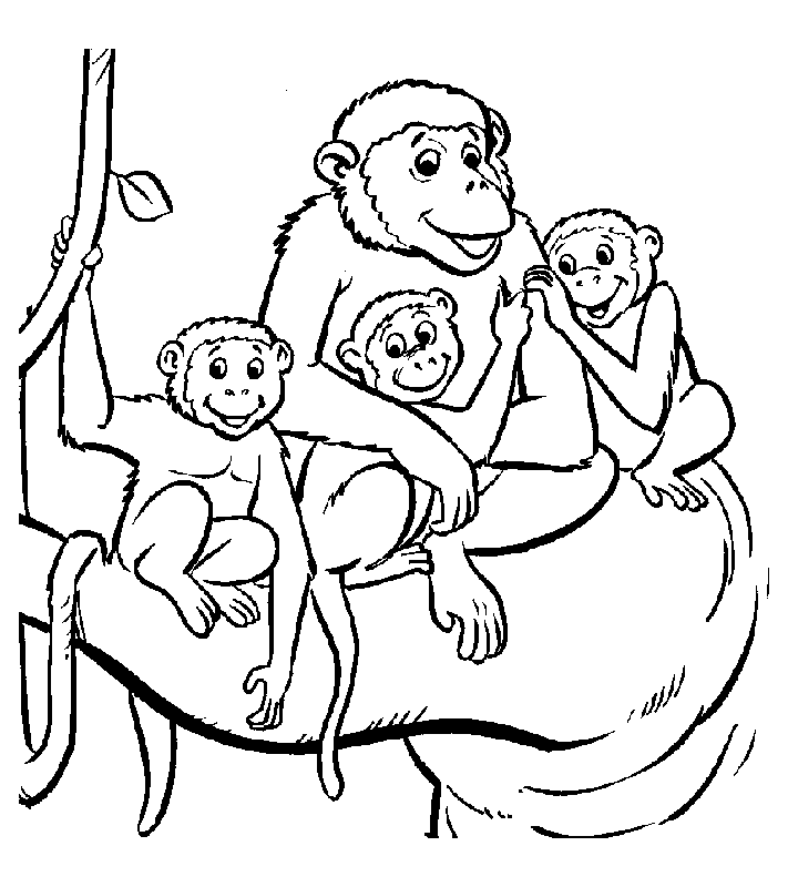 Disegno di scimmia da colorare per bambini. (Scimmie)