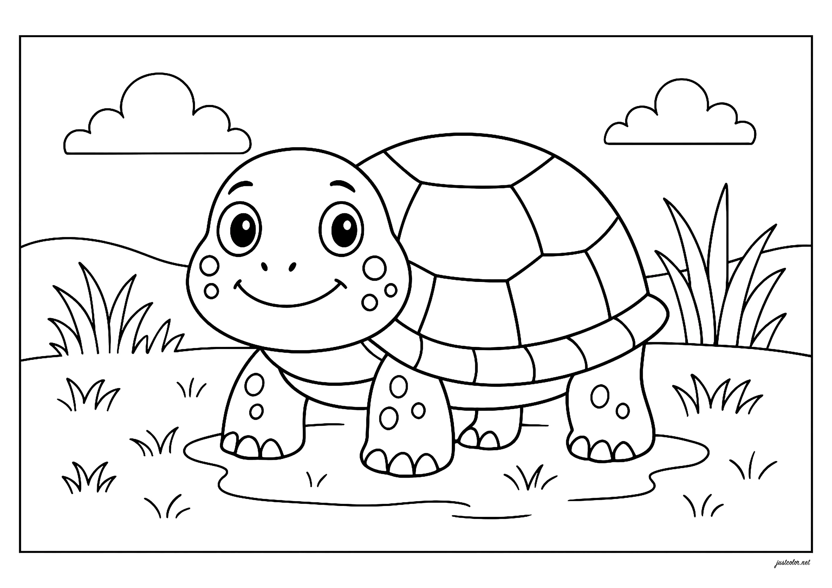 Una bella tartaruga (Pagina Tartarughe da Colorare per bambini)