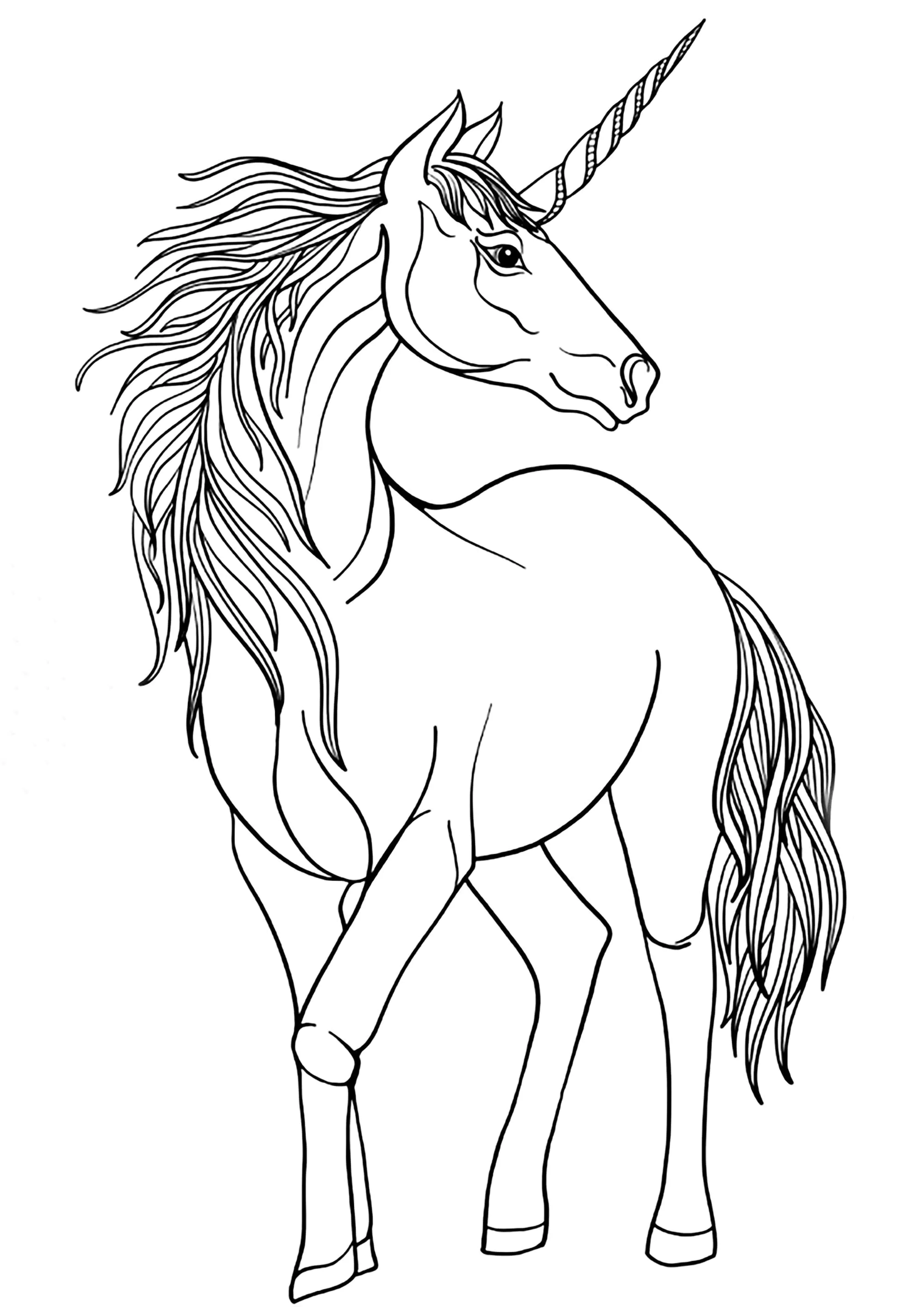 Grande unicorno maestoso (Pagina Unicorni da Colorare per bambini)