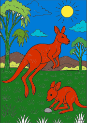 Creation by Anonymous from Canguri in natura