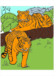 匿名 根据《Disegno di tigre gratuito da scaricare e colorare》创作