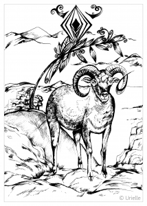 免费 动物 着色页，适合儿童和成人 (成人复杂着色 : 动物)