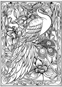 漂亮画框里的孔雀 (成人着色 : 孔雀)