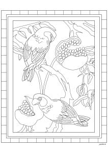 鹦鹉和成熟的水果 (成人着色 : Stained Glass)
