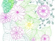 供成人打印的着色页 : 彩色禅