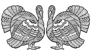 双火鸡三角画着色纸 (成人着色 : 感恩)