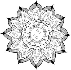 Mandala Yin & Yang et feuilles (成人着色 : 曼陀罗)