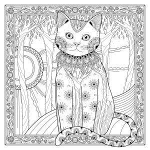 美丽环境中的猫与阳光 (成人着色 : 猫)