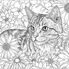 供成人打印的复杂着色页 : 猫