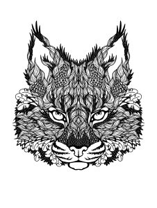 猫的头部着色 (成人着色 : 猫)
