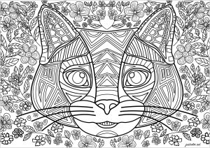 由规则线条组成的猫头，背景是花朵 (成人着色 : 猫)