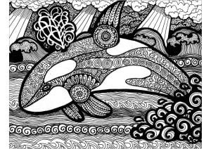 Orca & Zentangles (成人着色 : 禅绕画)