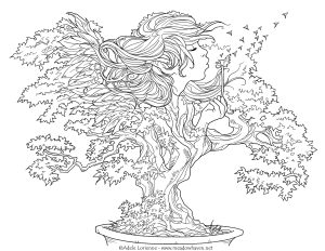 邦赛的愿望 (成人着色 : Meadowhaven)