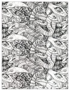 画满蛇的图画 (成人着色 : 蛇)
