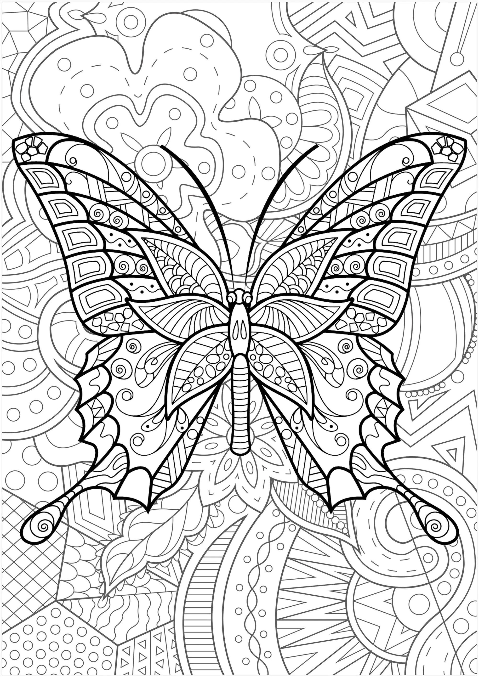 蝴蝶与花朵背景- 3 - 成人复杂着色页: 蝴蝶与昆虫