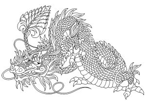 龙 着色表下载 (成人着色 : 龙)